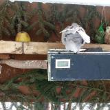 photo 2021-02-11 10-28-10