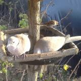 photo 2019-12-17 14-06-10