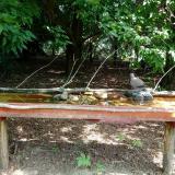 photo 2021-07-26 10-45-44