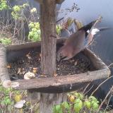 photo 2019-12-09 14-16-25