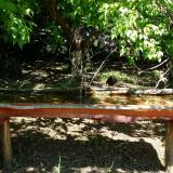 photo 2021-05-10 10-50-33