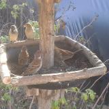 photo 2019-12-16 10-17-59