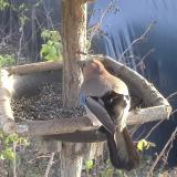 photo 2019-12-17 14-03-51