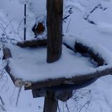 photo 2019-01-05 15-25-59