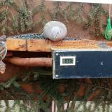 photo 2021-03-04 10-11-28