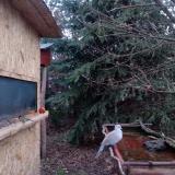 photo 2022-01-03 07-44-04