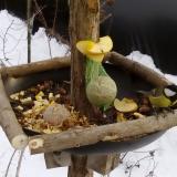 photo 2019-01-12 14-53-48