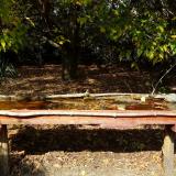 photo 2021-10-12 13-36-52