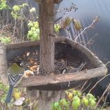 photo 2019-12-09 13-45-23