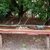 photo 2021-07-23 05-22-48