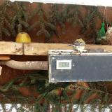 photo 2021-02-11 13-09-02