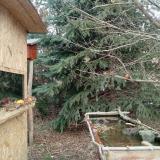 photo 2021-12-26 11-16-24