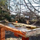 photo 2022-03-11 07-49-49