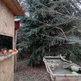 photo 2021-12-22 14-11-51