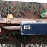 photo 2021-02-07 15-18-01