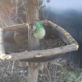 photo 2019-02-12 07-38-53