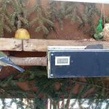 photo 2021-02-12 10-35-50