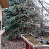 photo 2021-12-11 13-31-13