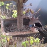 photo 2019-12-12 11-23-28