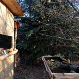 photo 2021-12-19 08-42-01