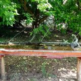 photo 2021-05-25 09-00-11