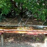 photo 2021-09-24 15-17-14