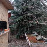 photo 2021-12-27 09-47-37