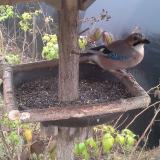 photo 2019-12-12 11-51-19