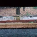 photo 2021-11-28 15-19-41