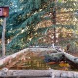 photo 2023-10-16 07-51-11