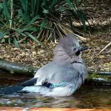 photo 2021-09-24 15-24-40 szajko