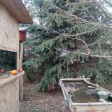 photo 2021-12-26 14-45-02