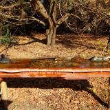 photo 2021-10-27 11-00-23