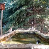 photo 2023-10-12 10-11-44