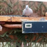 photo 2021-03-05 08-59-23