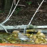 photo 2021-08-23 12-29-37 kisposzata