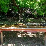 photo 2021-05-10 12-34-15