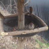 photo 2019-03-03 12-23-02