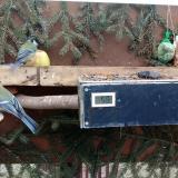 photo 2021-02-01 14-00-48