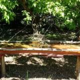 photo 2021-05-10 10-04-31