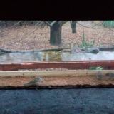 photo 2021-11-28 15-16-09