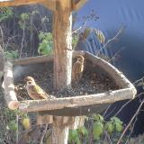 photo 2019-12-11 13-38-35