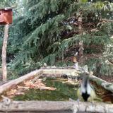 photo 2023-10-04 11-01-12