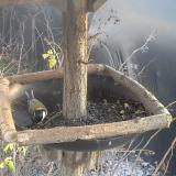 photo 2019-12-26 14-20-30