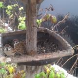 photo 2019-12-02 09-53-56