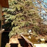 photo 2021-12-13 13-10-13