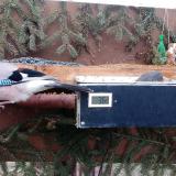 photo 2021-02-21 07-25-01