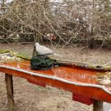 photo 2021-03-18 10-51-27