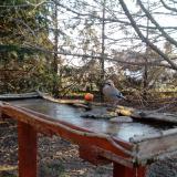 photo 2022-03-13 07-07-34