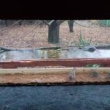 photo 2021-11-28 15-17-47